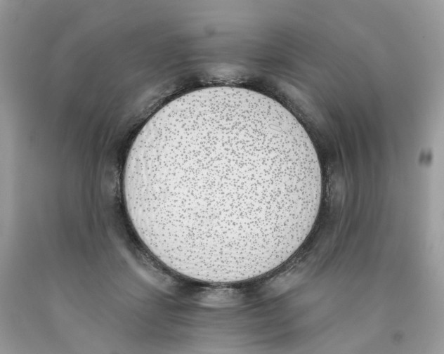 X0000089830459200707262027