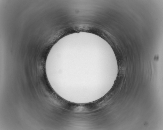 X0000089830460200707262027