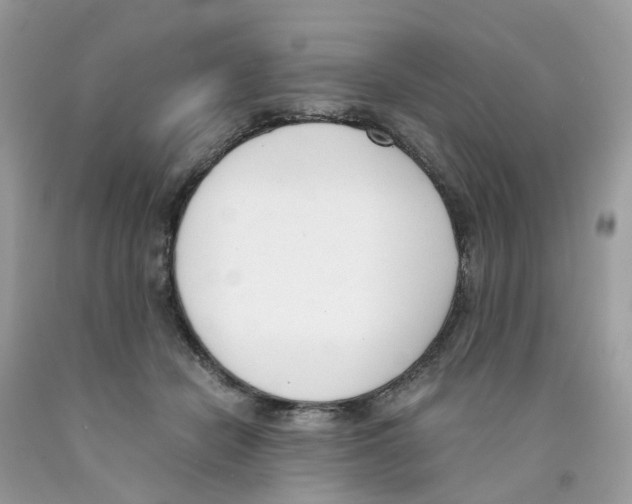 X0000089830462200707262027