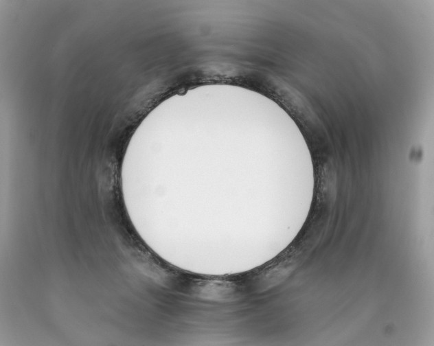 X0000089830463200707262027