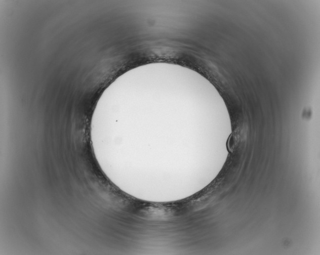 X0000089830464200707262027