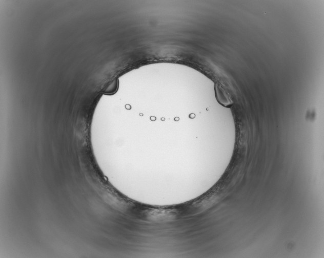 X0000089830465200707262027