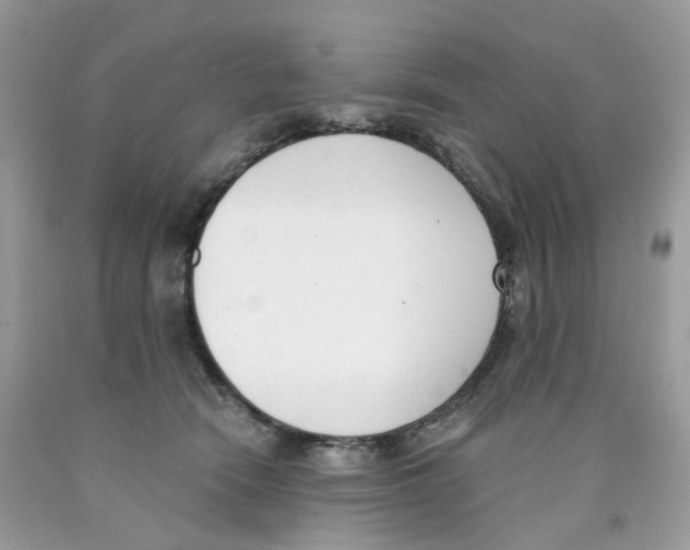 X0000089830466200707262027