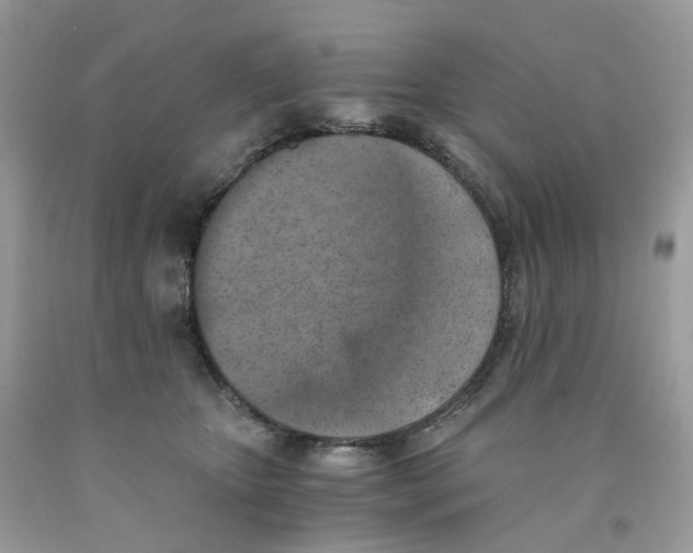 X0000089830467200707262027