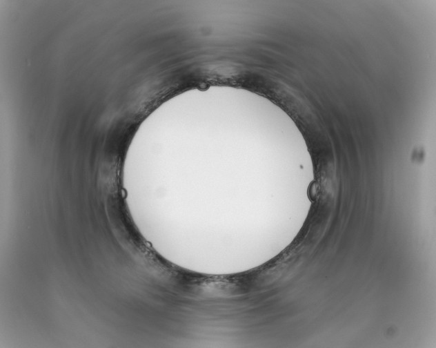 X0000089830468200707262027