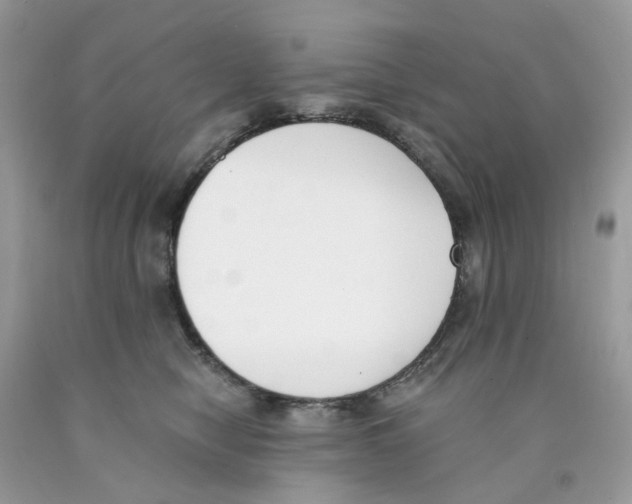 X0000089830470200707262027