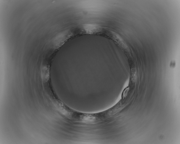 X0000089830471200707262027