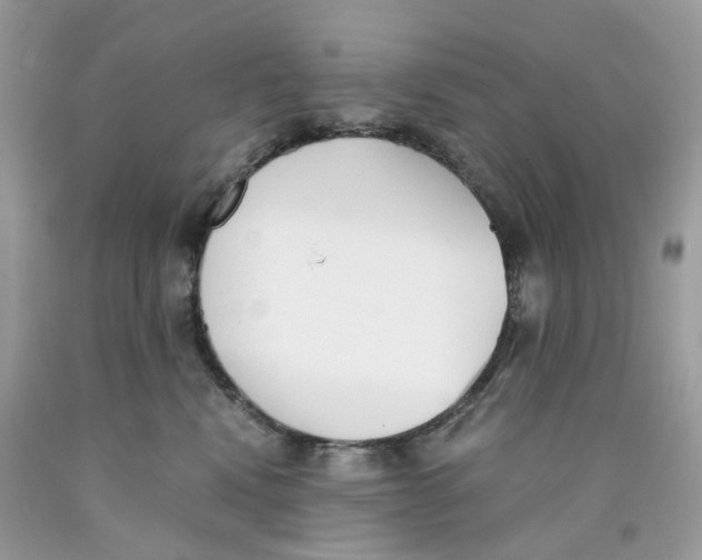 X0000089830472200707262027
