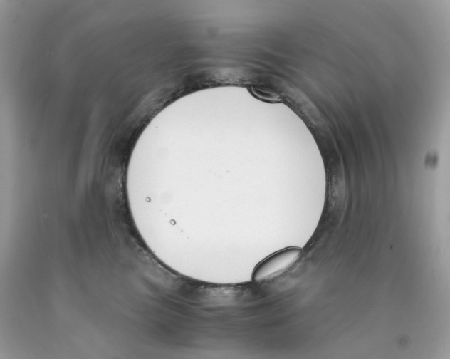 X0000089830473200707262027