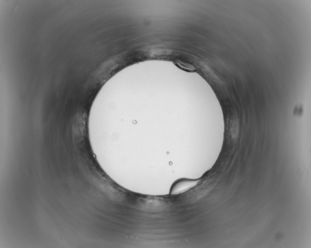 X0000089830475200707262027