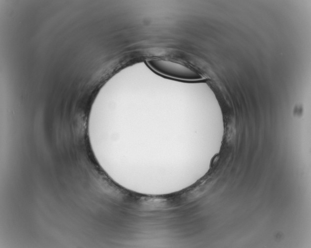 X0000089830476200707262027