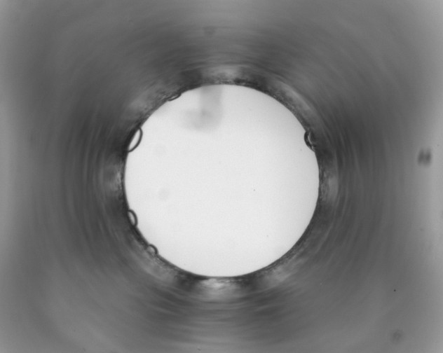 X0000089830477200707262027