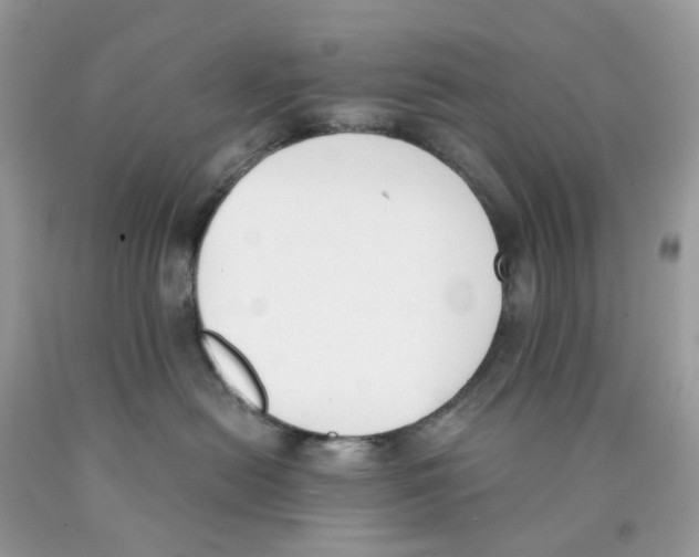 X0000089830478200707262027