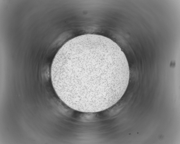 X0000089830479200707262027
