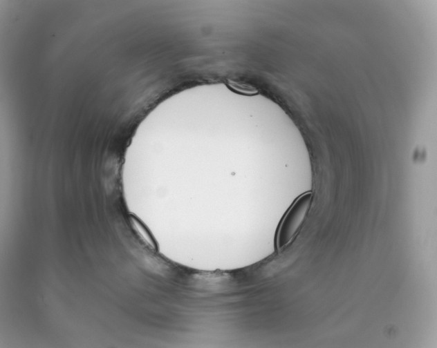 X0000089830480200707262027