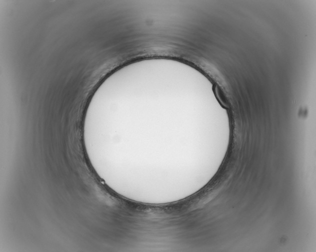 X0000089830481200707262027