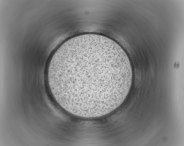 X0000089830482200707262027