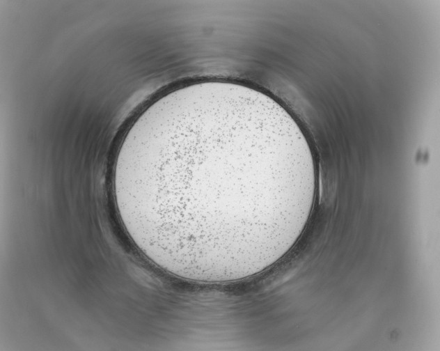 X0000089830483200707262027