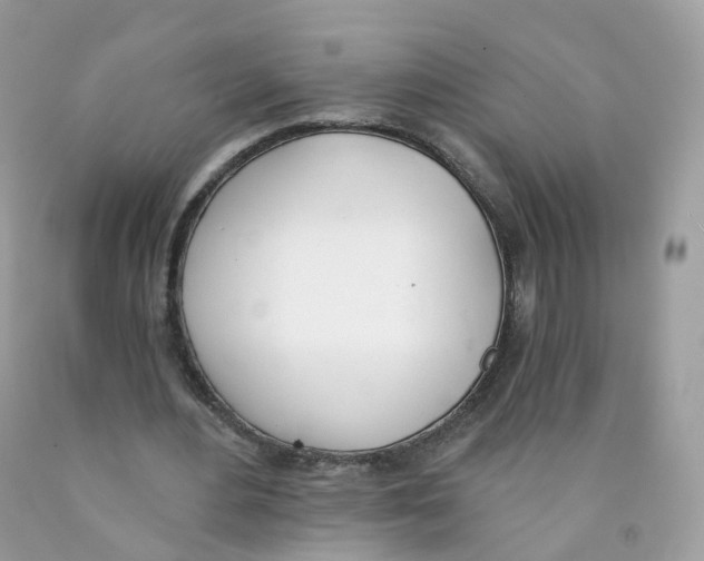 X0000089830484200707262027