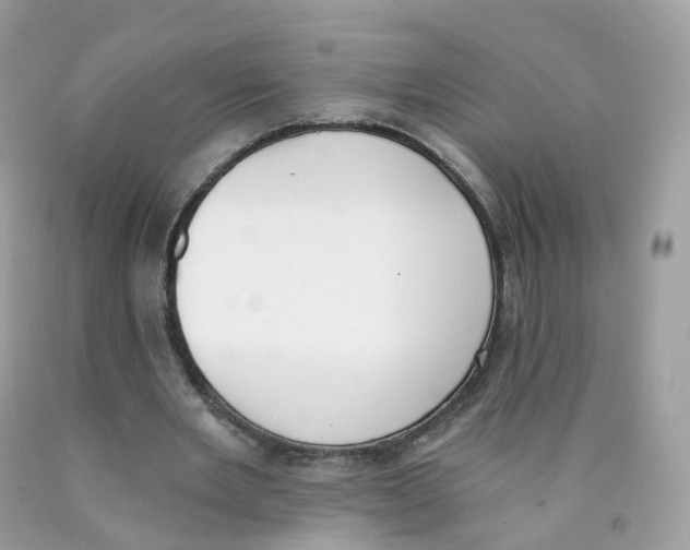 X0000089830485200707262027