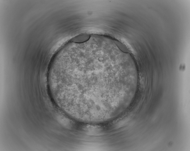 X0000089830487200707262027