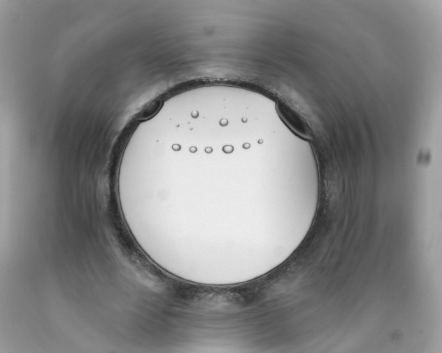 X0000089830488200707262027