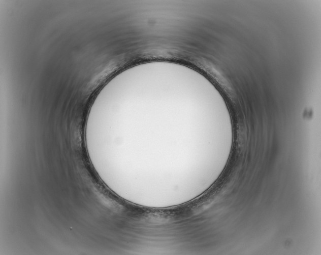 X0000089830489200707262027