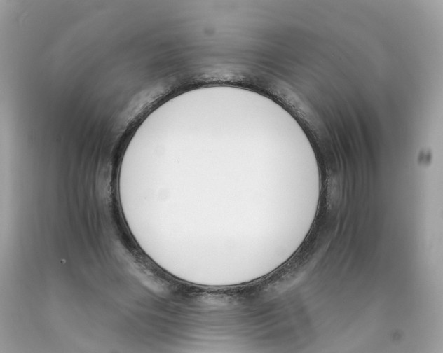 X0000089830490200707262027