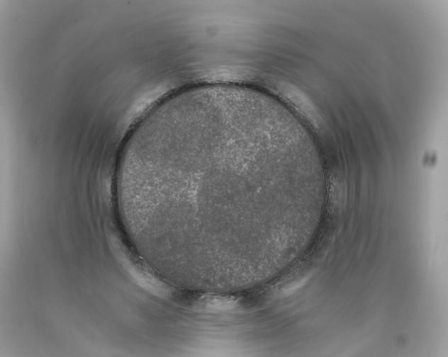 X0000089830491200707262027