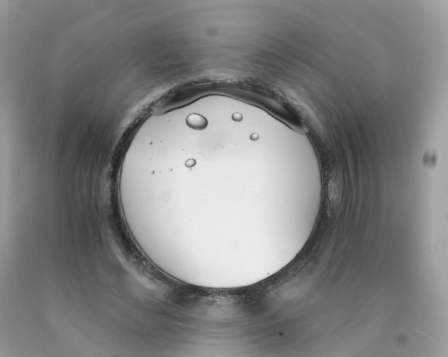 X0000089830492200707262027
