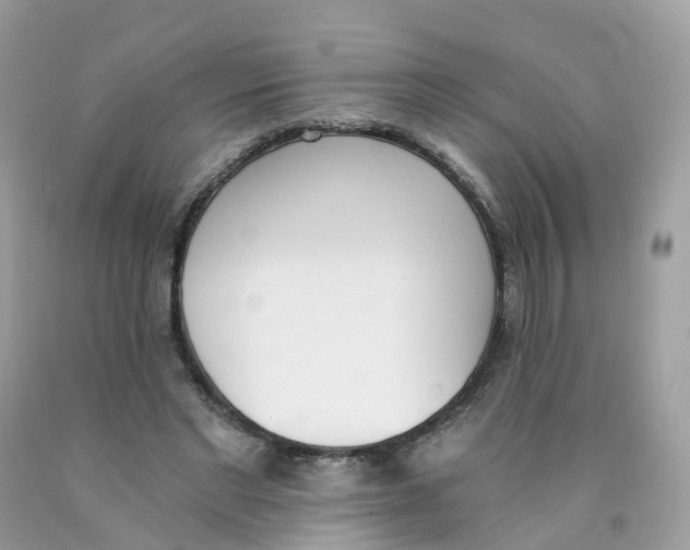 X0000089830493200707262027