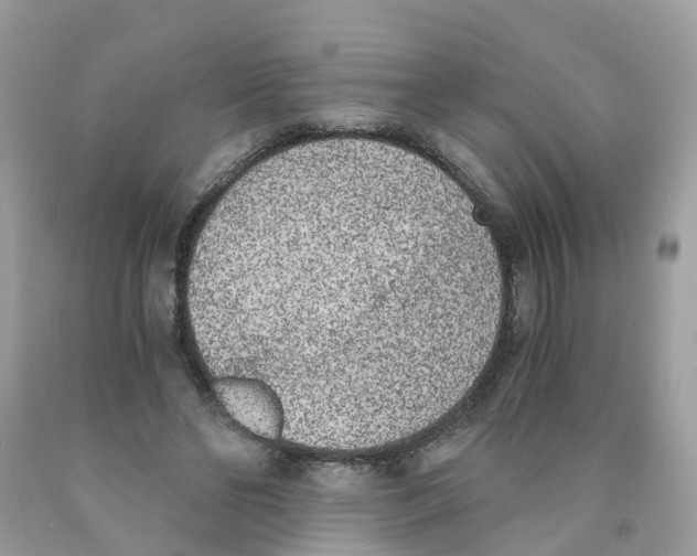 X0000089830494200707262027