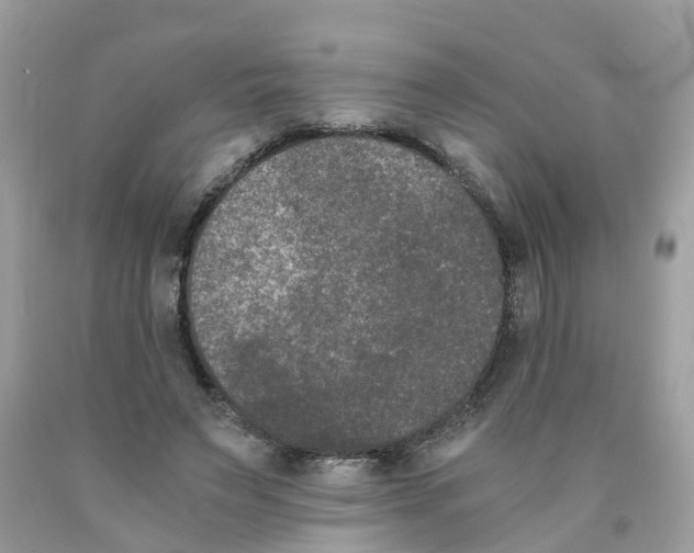 X0000089830495200707262027