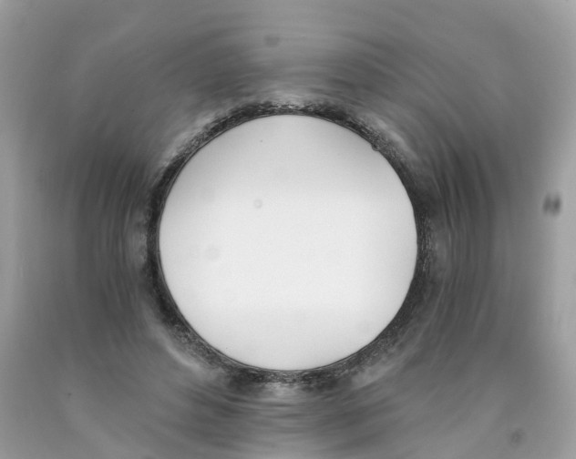 X0000089830496200707262027