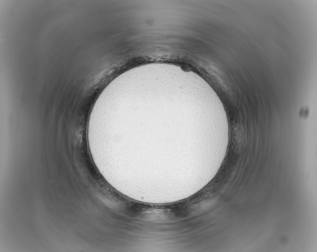X0000089830499200707262027