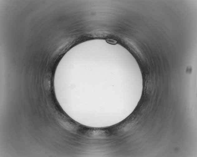 X0000089830501200707262027