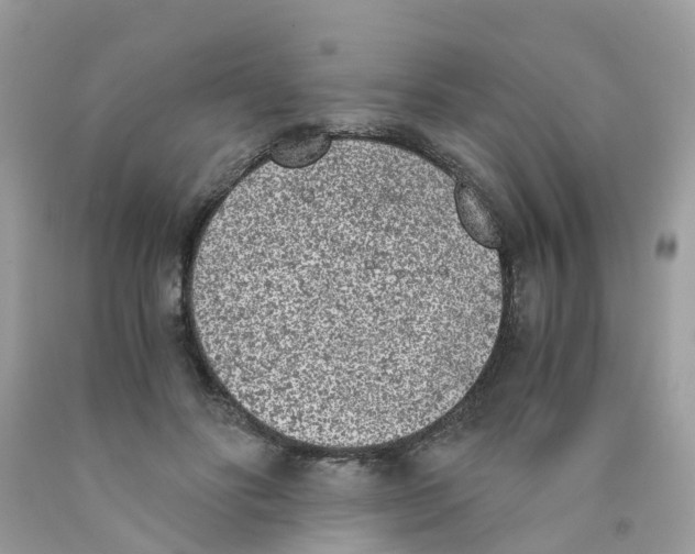 X0000089830502200707262027