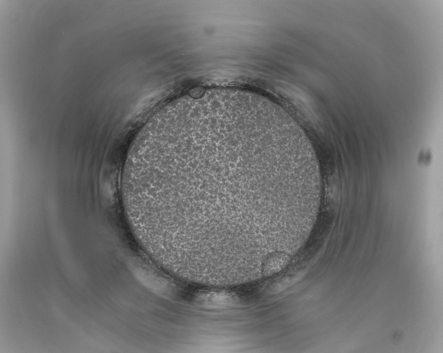 X0000089830503200707262027