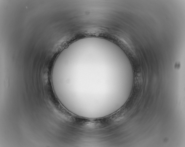 X0000089830504200707262027