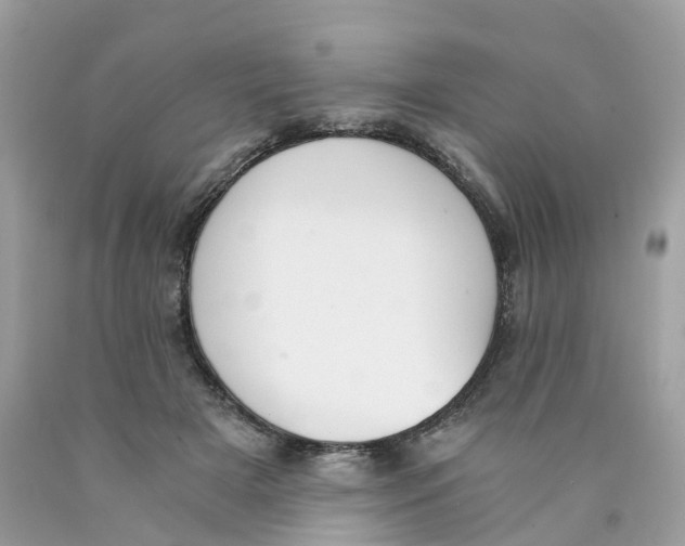 X0000089830505200707262026