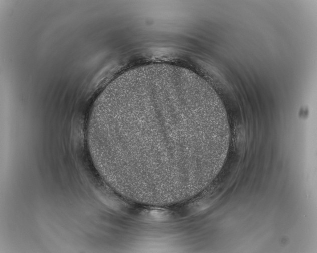 X0000089830506200707262026