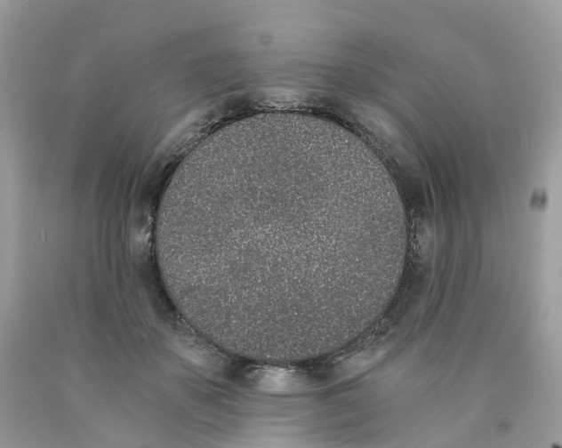 X0000089830507200707262026