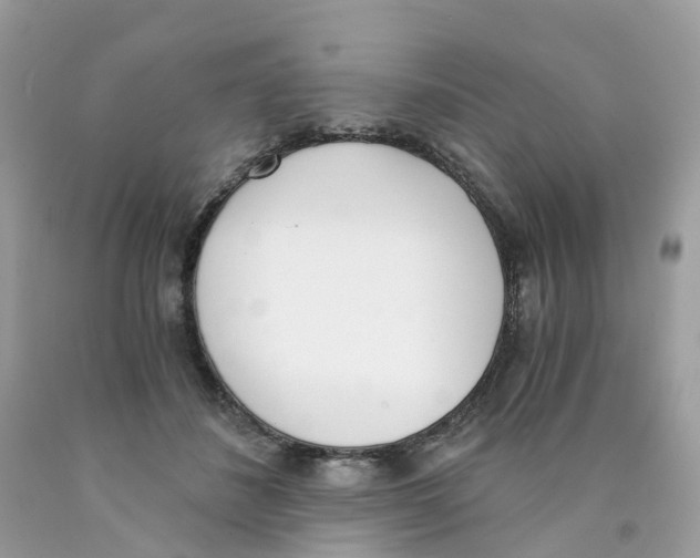 X0000089830508200707262026