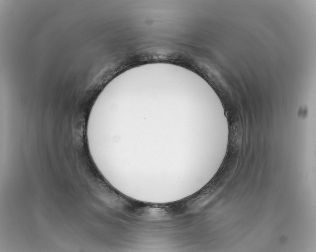 X0000089830509200707262026