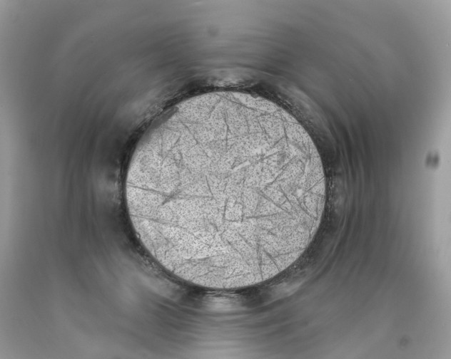 X0000089830510200707262026