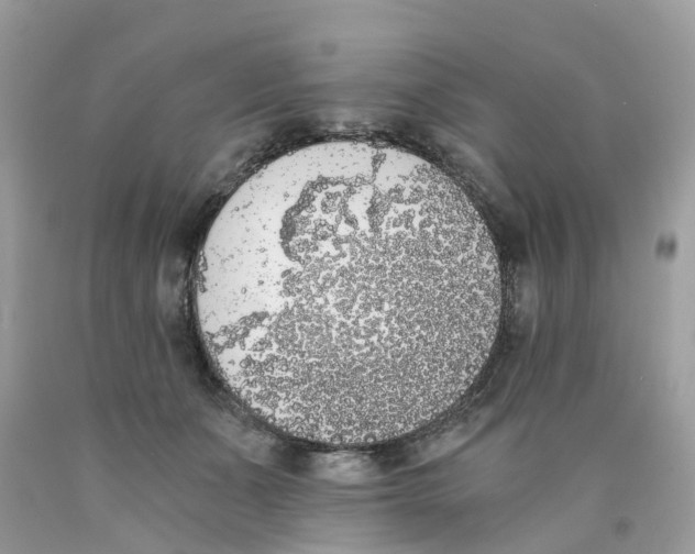 X0000089830511200707262026