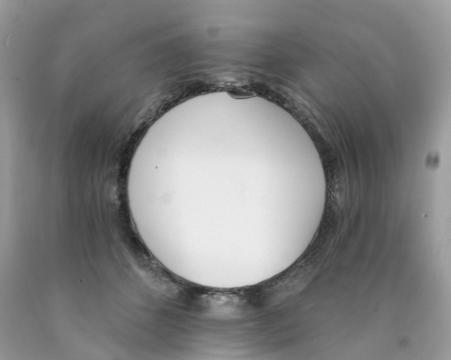 X0000089830512200707262026