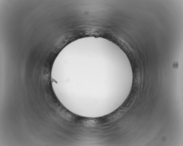 X0000089830513200707262026