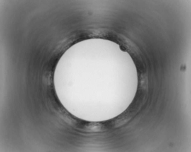 X0000089830514200707262026