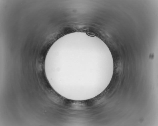 X0000089830515200707262026